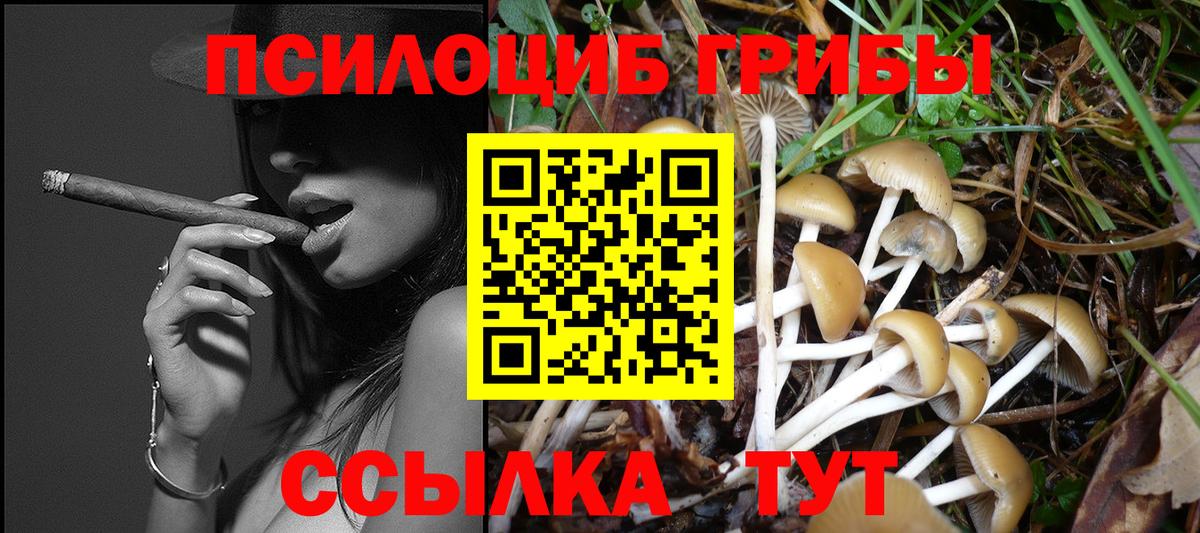 Псилоцибиновые грибы MAGIC MUSHROOMS  Вход с VPN  Димитровград  Псилоцибиновые грибы Magic Shrooms 