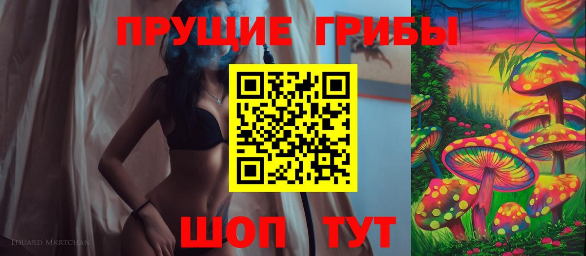 Псилоцибиновые грибы мицелий Димитровград